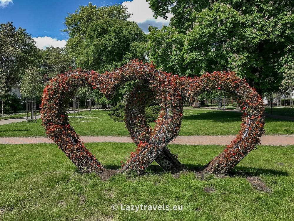 Hearts made of plants on one of the squares in Chełmno