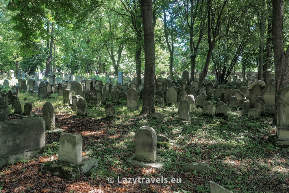Jewish cemetery in Tarnów