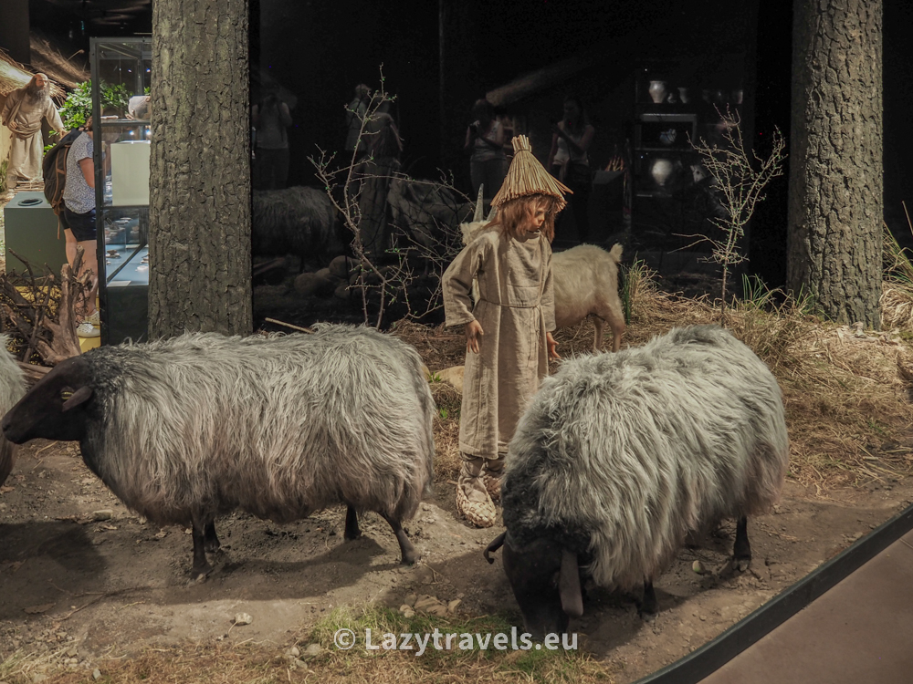 A child grazing sheep in a Neolithic settlement of diggers