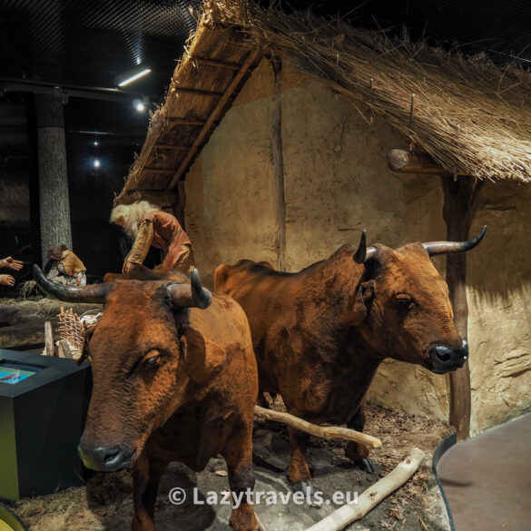 Reconstruction of a Neolithic village