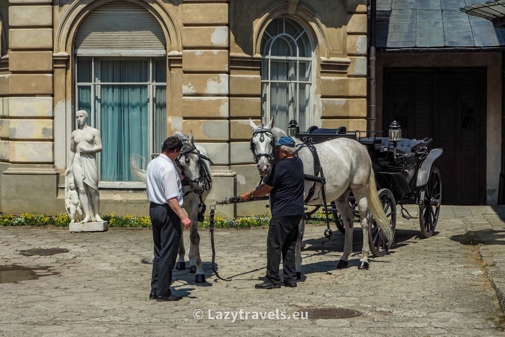 And if we are lucky, we will see horse-drawn carriages