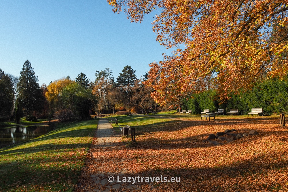 Park in Żelazowa Wola in autumn scenery