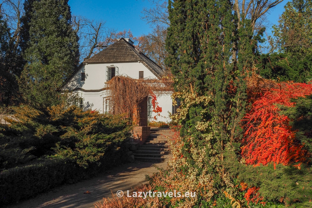 In autumn, the park in Żelazowa Wola sparkles with magical colors