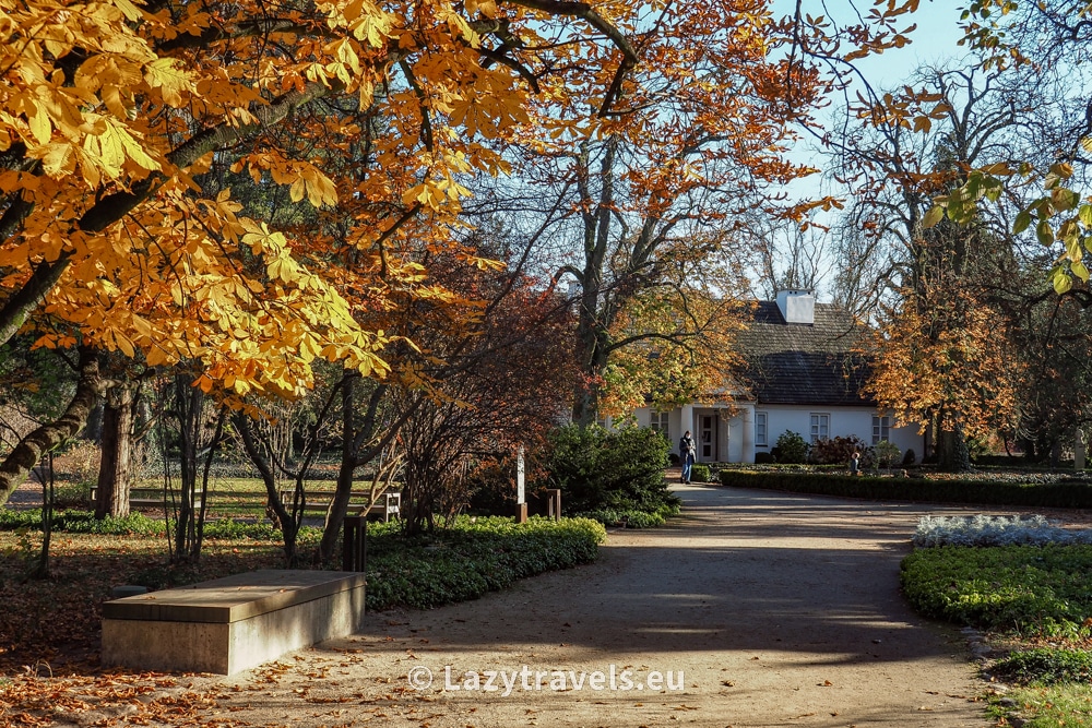 Avenue leading to Chopin's manor house in Żelazowa Wola