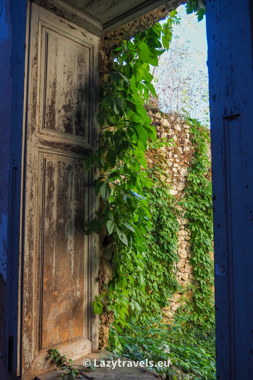 Nature does not like a vacuum. Since there are no more people, the plants begin to take over the former palace