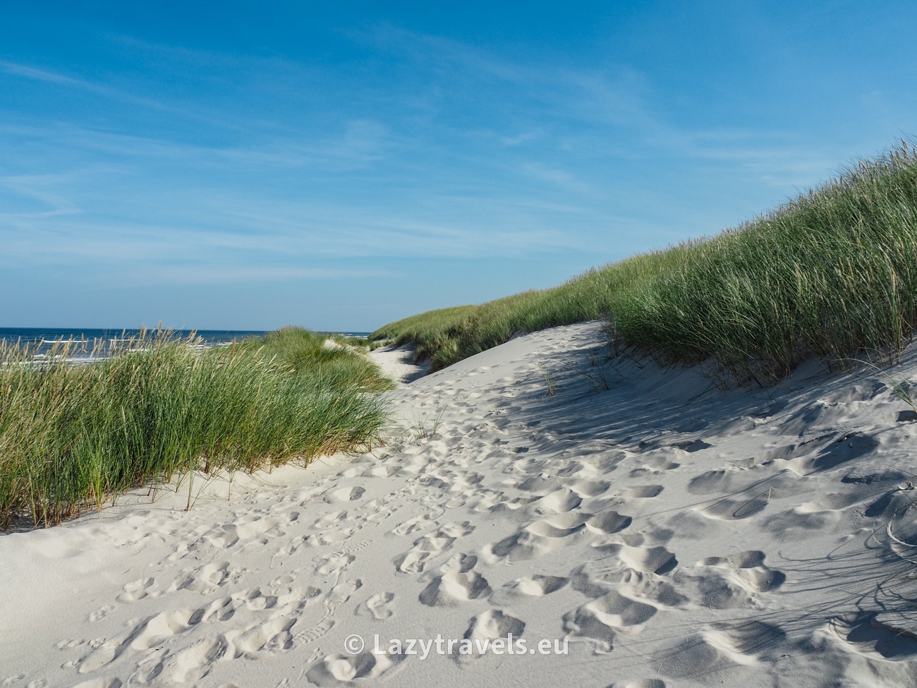 Sand dunes on the Baltic Sea