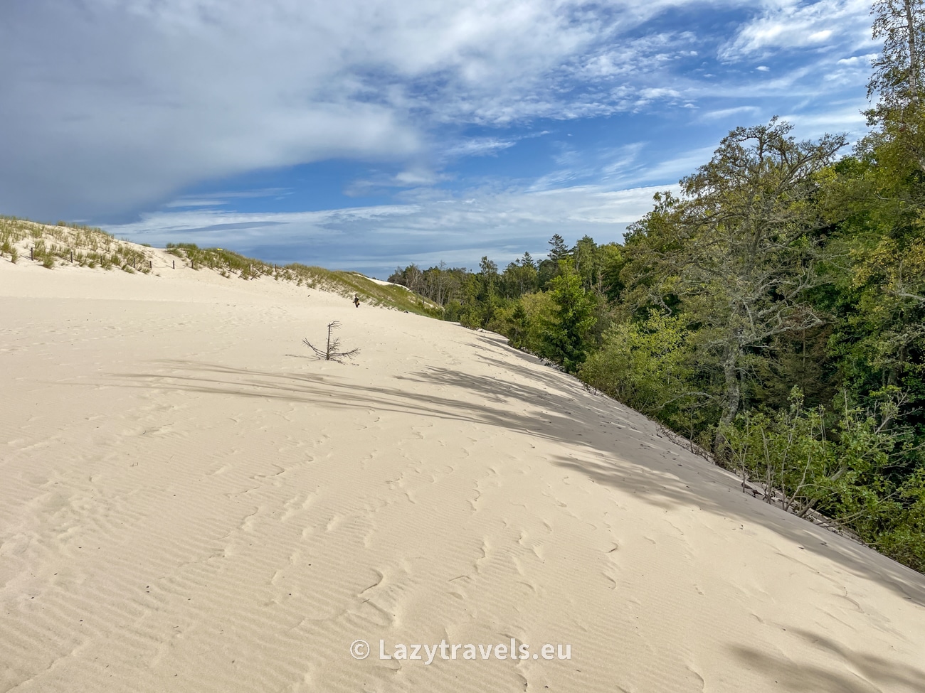 Łącko Dune devouring the forest