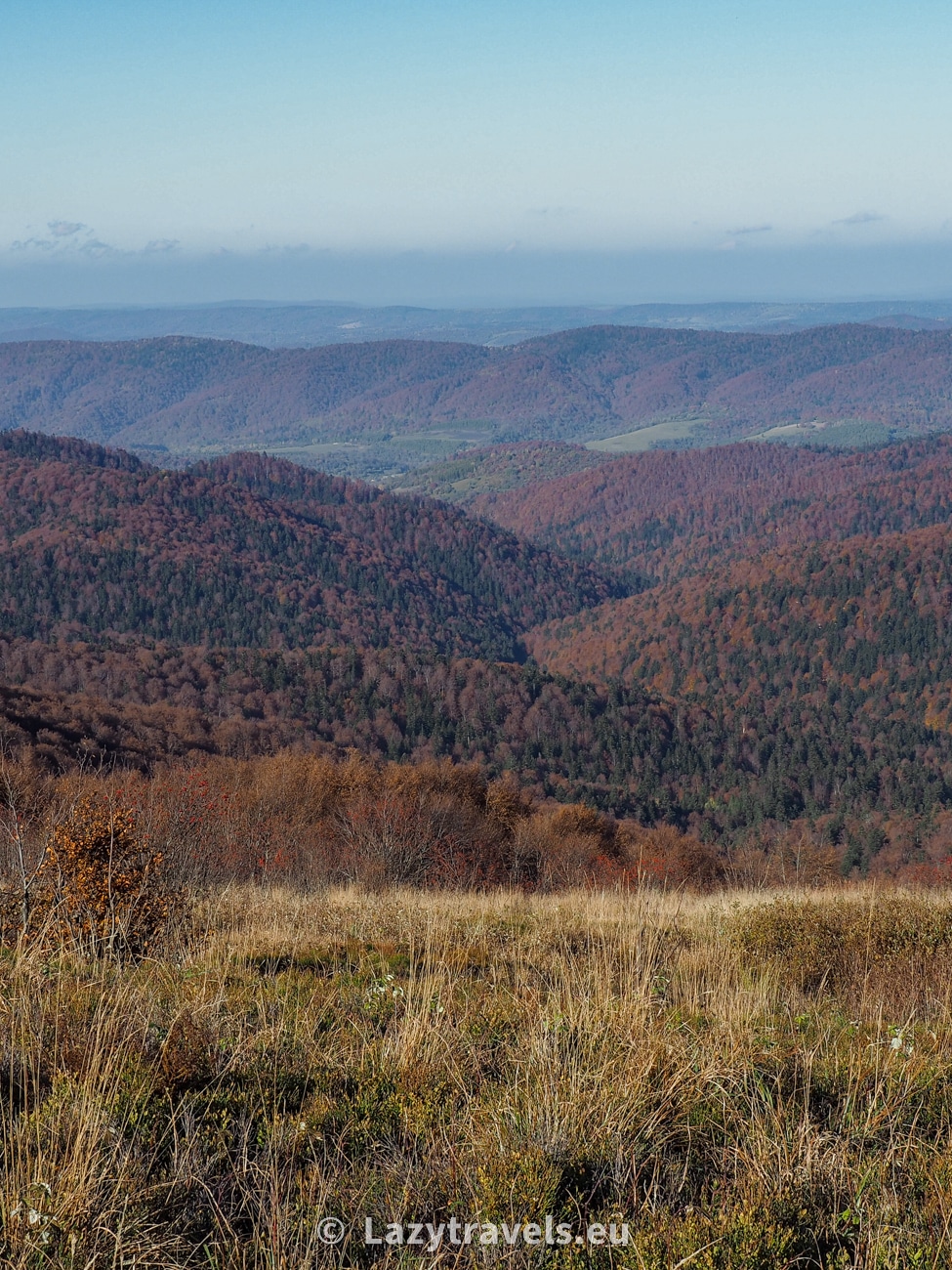 View from the trail through Połonina Wetlińska